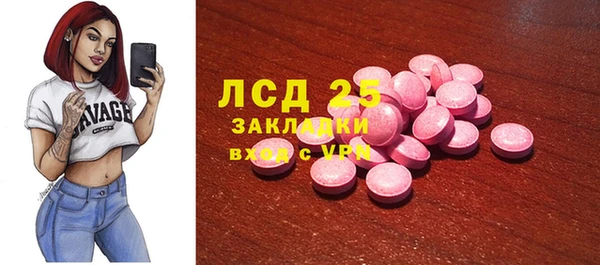 стаф Арсеньев